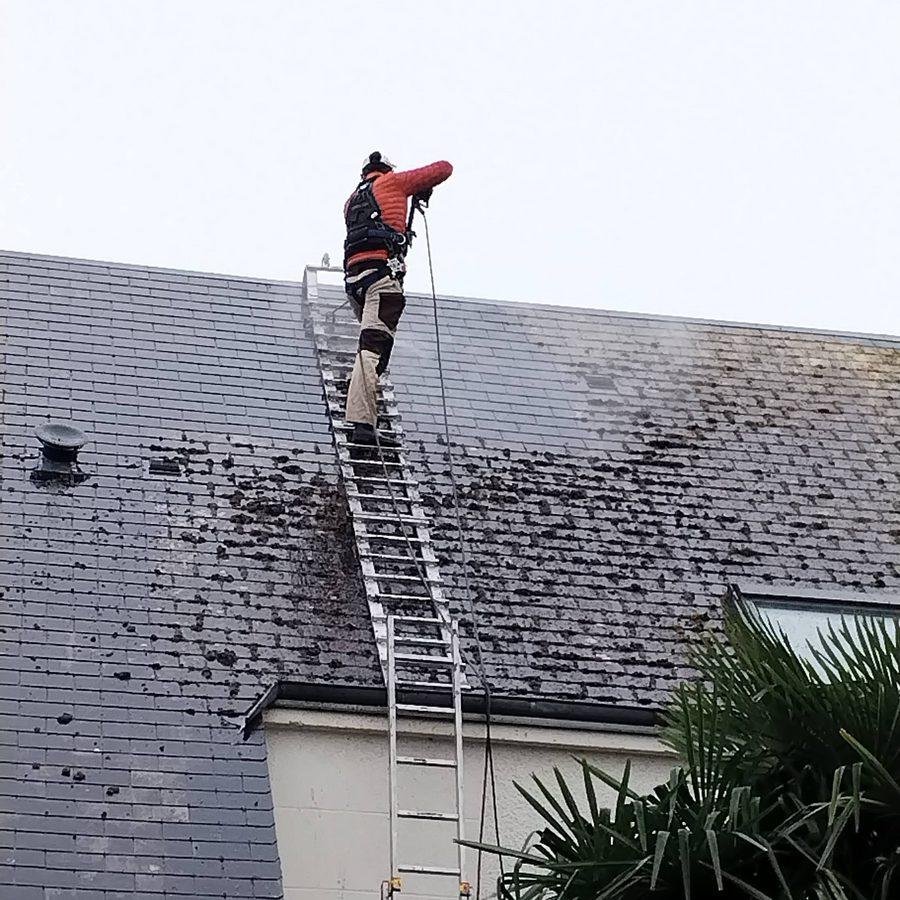 Démoussage de toiture en cours par STEED Solutions Extérieures